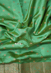 Dual Shade Pista Green - Raaga - Semi Tussar wtih full body 3D weaving
