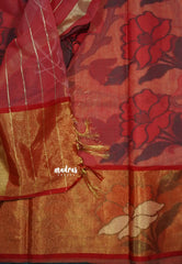 Sandal - Chandrika - Ikkat Pochampally Silk cotton with Tissue border