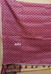 Chikoo with Magenta - Chitraleka - Semi tussar silk with kalamkari depiction border and pallu