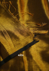 Gold Tissue khadi with black skirt border - Vani Bhojan saree - Madras Sarees