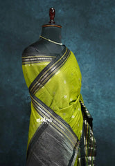 Chutney Green - Durga - Traditional Banarasi semi soft silk saree multi border