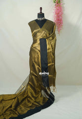 Gold Tissue khadi with black big skirt border - Vani Bhojan saree