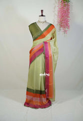 Olive Green - Organza Satin Silk Saree with Stone Work and Multicolour Border & Scallop Border