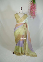 Pastel Lime - Organza Satin Silk Saree with Stone Work and Multicolour Border & Scallop Border