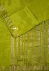 Sap green - Lightweight Semi tussar saree wtih leaf border - Raaga