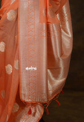 Pastel Orange - Banarasi Chinon Silk with Floral Border - Best for Night Functions