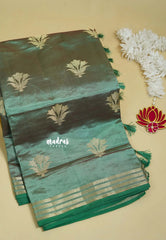 English Green - Raaga - Lightweight Semi tussar saree with multilne border