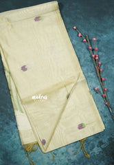 Soft Sandal Glow - Soft Organza silk with pichwai lotus weaving saree