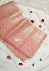 Peach Glow - Sundari – Premium Kota Tussar Silk Saree with Traditional Border - Best for Festive Wear