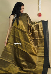 Gold Tissue khadi with black big skirt border - Vani Bhojan saree