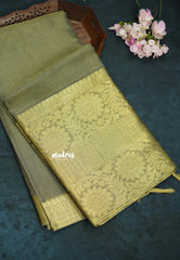 Grey with Gold - Tissue silk saree Silver Zari Boder - Best for Special Celebrations