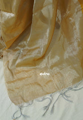 Vani Bhojan - Half and half Tissue khadi - Sandal and Gold