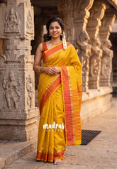 Golden Mustard Yellow - Arani Semi Silk Saree Muthukattam with Skirt Border - Best for Regular Wear | Temple Visit