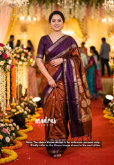 Dual Shade Rust Orange Brown - Kanimozhi - Soft Silk Saree with Rettapet Border with Banarasi Blouse - Perfect for Reception