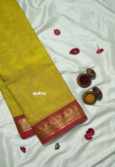 Greenish yellow - Korvai silk cotton saree with Small Border - Best for Festive Wear