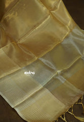 Elegant Gold Bloom - Kushboo - Banarasi Tissue silk saree Dualshade