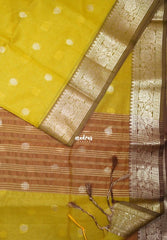 Yellowish Green-D2 - Maheswari - Lightweight Cotton Silk Saree with Flower Border - Perfect for Small Functions