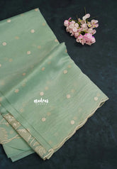 Pastel Green - Organza Silk with Small Floral Embroidery - Best for Engagements / Haldi / Reception
