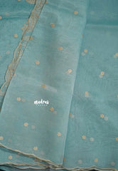Pastel Blue - Organza Silk with Small Floral Embroidery - Best for Engagements / Haldi / Reception