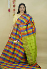 Multichecks Green pallu - Vaibhogam - Silk Cotton with Kattam Body with pochampalli border - Paalum Pazhamum - Best for functions