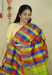 Multichecks Green pallu - Vaibhogam - Silk Cotton with Kattam Body with pochampalli border - Paalum Pazhamum - Best for functions