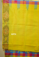 Multichecks yellow pallu - Vaibhogam - Silk Cotton with Kattam Body with pochampalli border - Paalum Pazhamum - Best for functions