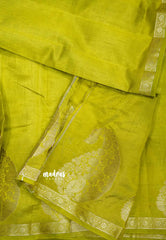 Raaga - Lightweight Semi tussar saree wtih Mango border - Mehendi green