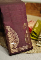 Brown - Raaga - Lightweight Semi tussar saree wtih Mango border