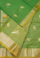 Dual Shade Fresh Green - Shalini Banarasi Lightweight Kota Silk Saree with Zari Border - Best for Wedding Functions
