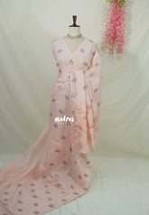 Creamy Blush Peach - Shalini - Premium Super Net Saree with Embroidery Buttas and Applique Work Pallu - Best for Office Wear / Hightea party