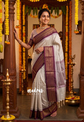 Silver Grey - Sico Gadwal Semi Silk Stripes with Traditional Border - Best for Small Functions