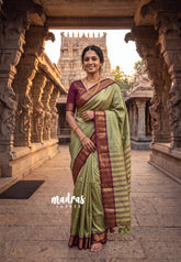 Sage Green - Sico Gadwal Semi Silk Bird Border - Best for Small Functions