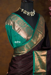 Dark Chocolate Brown - Sowbhagya Gift silk – Soft Silk Elegance Saree with Rich Pallu and Blouse - Perfect for Festive Celebration