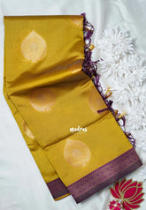 Greenish Yellow - Thendral - Kanchi Semi Silk Small Border with Contrast Pallu and Blouse - Best for Pooja Functions | Diwali Festive