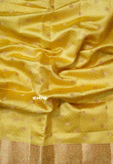 Dual Shade Golden Yellow - Raaga - Semi Tussar wtih full body 3D weaving