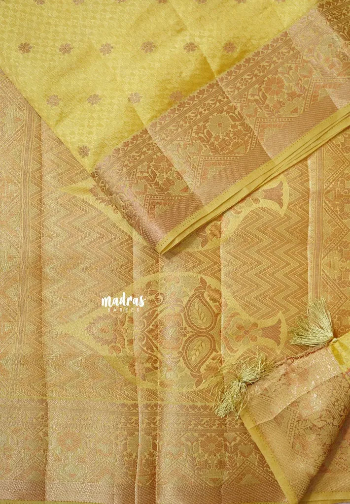 Dual Shade Golden Yellow - Raaga - Semi Tussar wtih full body 3D weaving