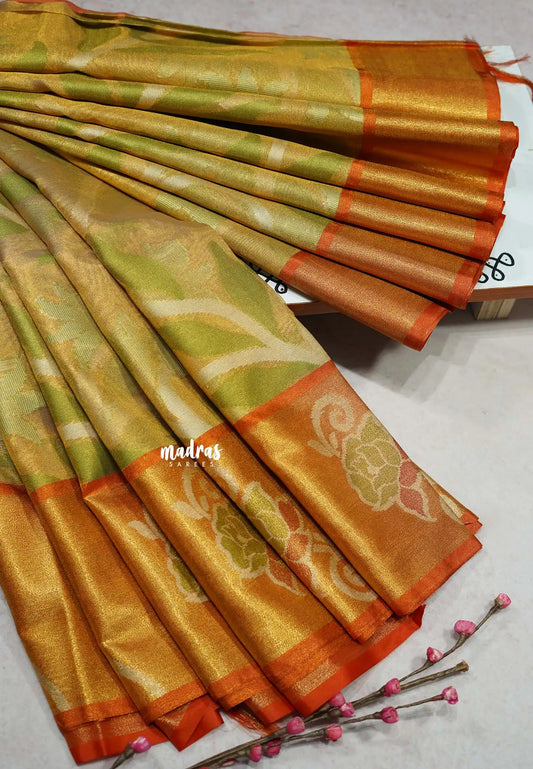 Golden Orange - Chandrika - Ikkat Pochampally Silk cotton with Tissue body