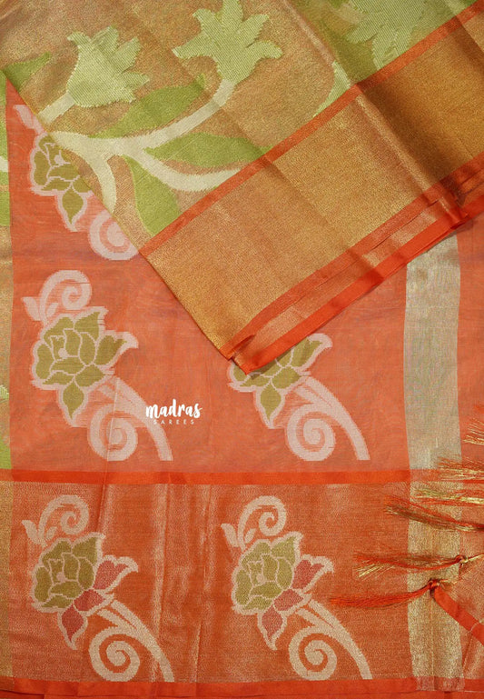 Golden Orange - Chandrika - Ikkat Pochampally Silk cotton with Tissue body