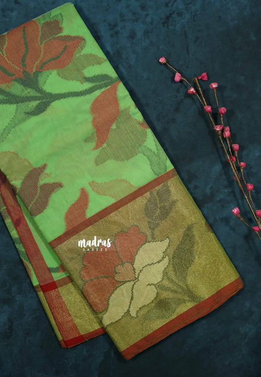 Light Green - Chandrika - Ikkat Pochampally Silk cotton with Tissue border