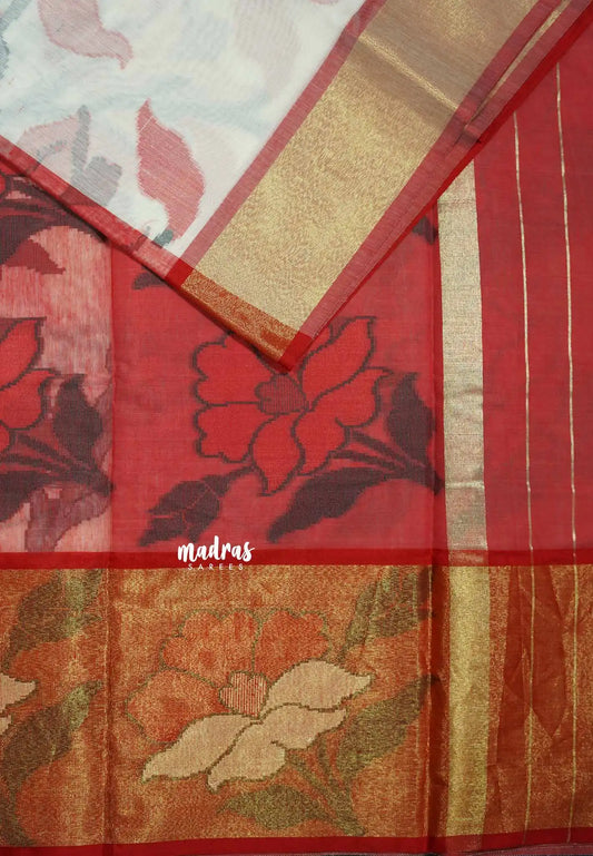 Halfwhite - Chandrika - Ikkat Pochampally Silk cotton with Tissue border