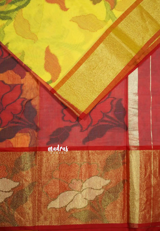 Yellow - Chandrika - Ikkat Pochampally Silk cotton with Tissue border