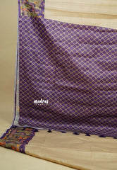 Chikoo with Purple - Chitraleka - Semi tussar silk with kalamkari depiction border and pallu