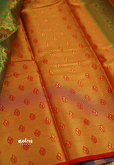 Kanchi Tissue Silk Saree With Floral Meenakari Motifs