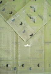 Pastel Lime Green - Durga - Banarasi Muslin Silk  Thread Weaving Body with Silver Zari Border - Perfect for Pooja Wear | Diwali Function