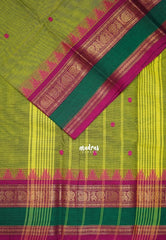 Sap Green - Karthigai silk cotton temple mayil mango multi border - Best for Wedding Functions
