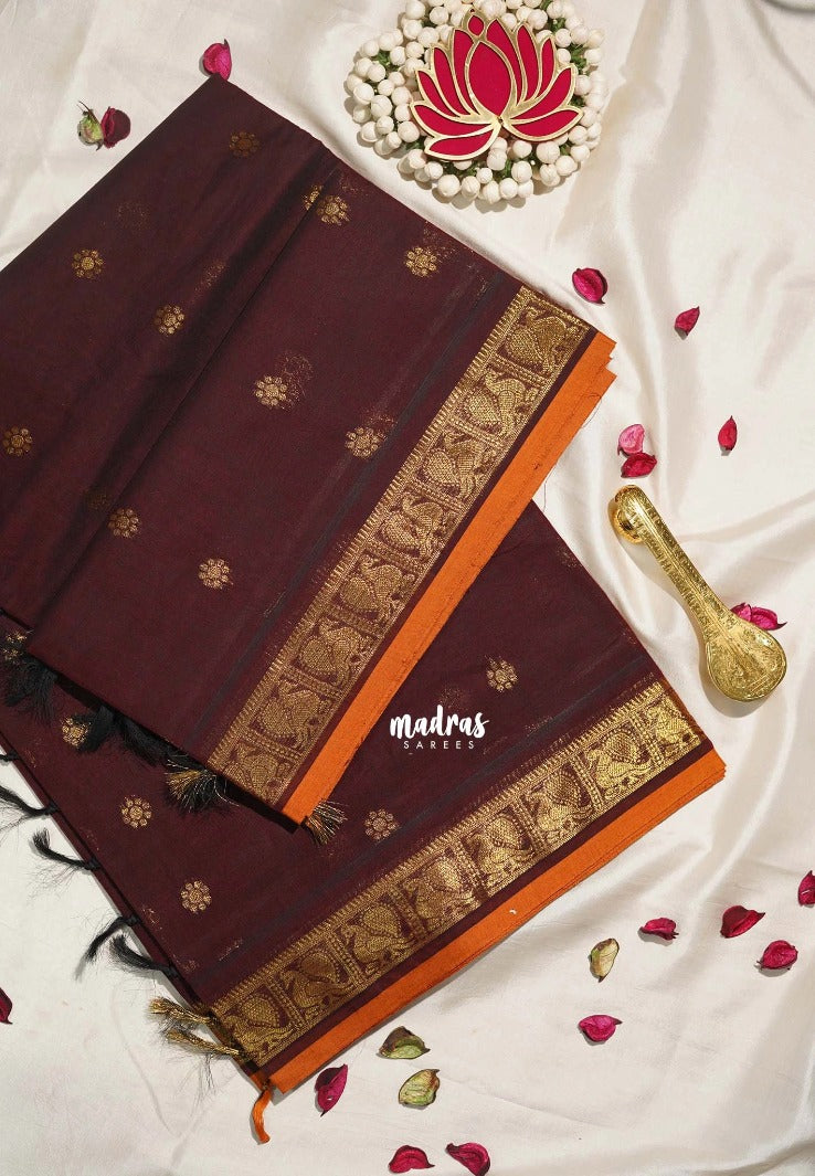 Coffee Brown - Korvai silk cotton saree with Peacock Border and Buttas  - Best for Festive Wear