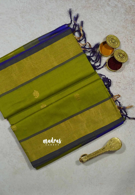 Sap Green - Mookuthi Amman silk cotton pochampalli border with buttas