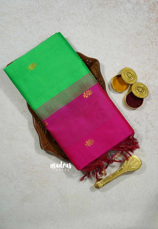 Parrot Green  - Mookuthi Amman silk cotton pochampalli border with buttas