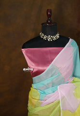 Dreamy Rainbow - Soft Organza Silk with Silk Blouse - Perfect for Evening Functions