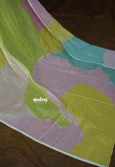 Dreamy Rainbow - Soft Organza Silk with Silk Blouse - Perfect for Evening Functions